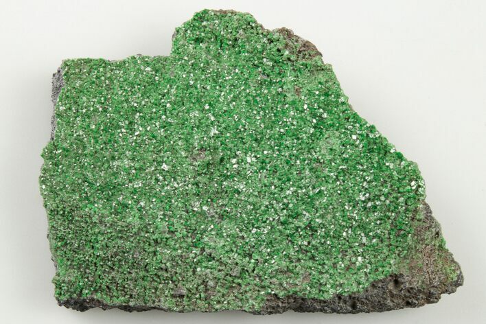 Green Uvarovite (Garnet Group) Cluster - Russia #195639